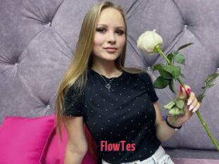 FlowTes