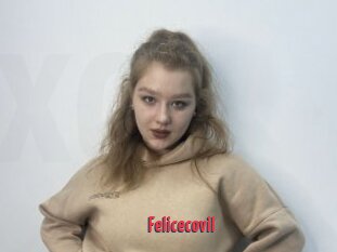 Felicecovil
