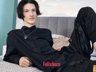 Felixburn