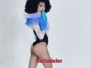 Fenixteninches
