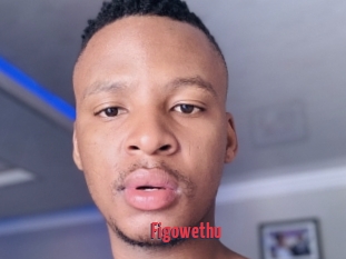 Figowethu