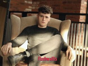 Flashwallis