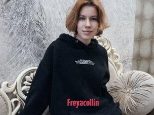 Freyacollin