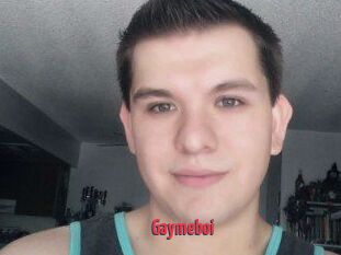 Gaymeboi