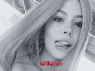 Gallibarbara