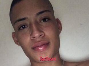 Garfiosex