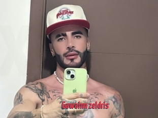 Gawainn_zeldris