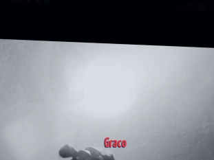 Graco