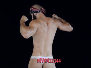 HEVAN12344