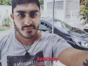 Harold_horny