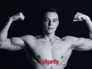 HeilgarVip