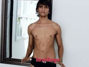 HornyXRanger