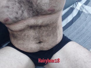 Hairybear18