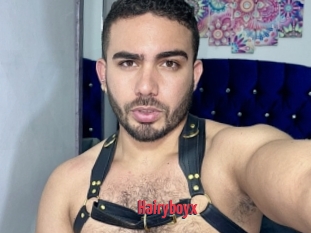 Hairyboyx