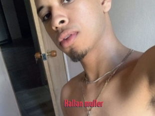 Hallan_muller