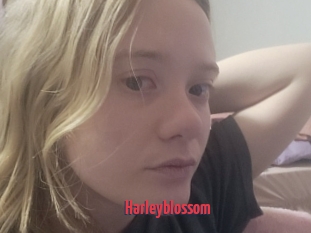Harleyblossom