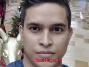 Harold_bigcock
