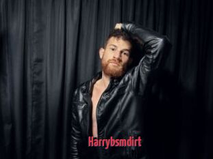 Harrybsmdirt