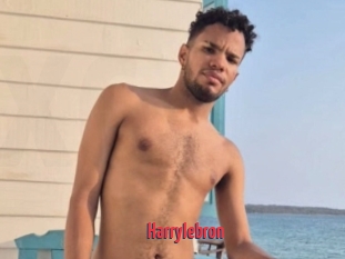 Harrylebron
