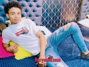 Harrymontanaa