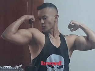 Harveywull