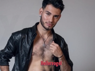 Heilervogel