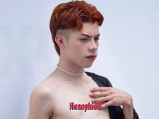 Henophidd