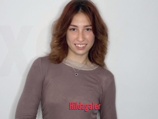 Hildagaler