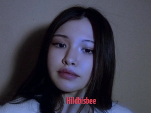 Hildbisbee