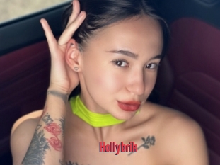 Hollybrik