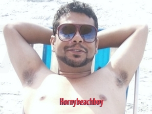 Hornybeachboy