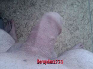 Hornydan1733