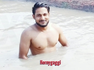 Hornygaggi