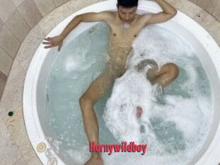 Hornywildboy