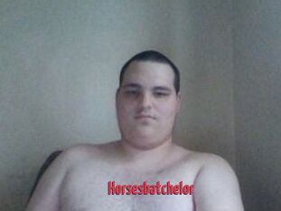 Horsesbatchelor