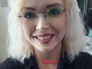 Houscat