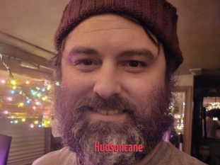 Hudsoncane