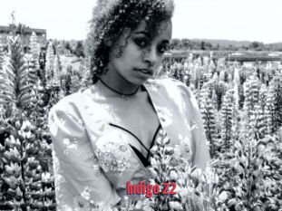 Indigo_22