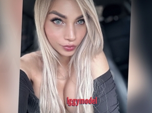 Iggymodel