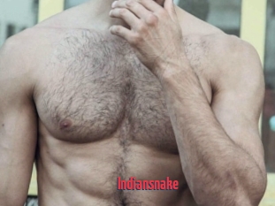 Indiansnake