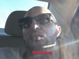 Italianbullnyc