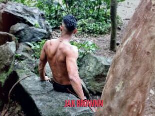 JAK_BROWNN