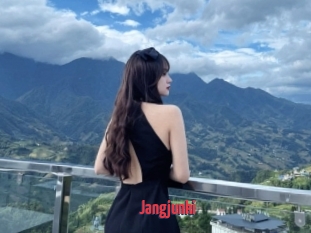 Jangjunki