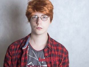 KevinTiger