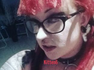 Kitten6