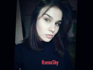 KsenaSky