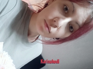 Karinakodi
