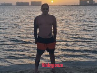 Kinkygonzo