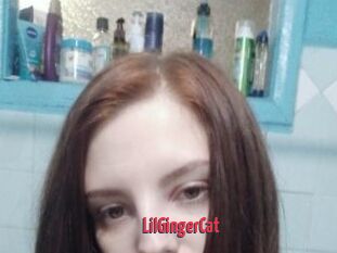 LilGingerCat