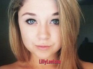 LillyLantana